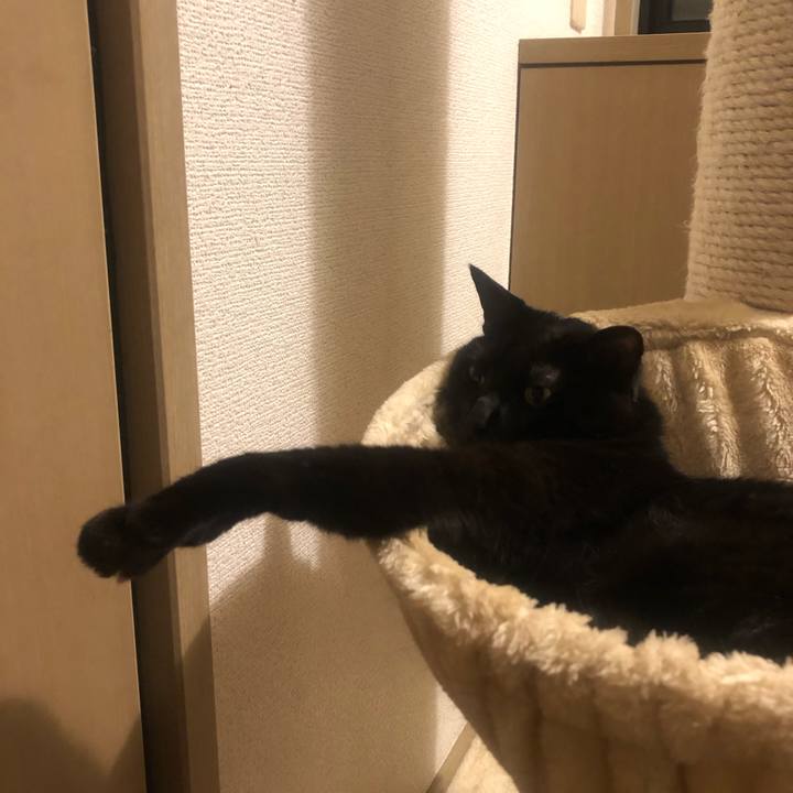 8a345b75 dba4 47aa 9721 9a352ad77079 1621087622243