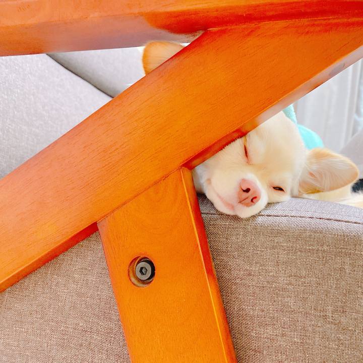 8a3486a6 0824 4496 96e3 6125cb4d9f32 1639025860343