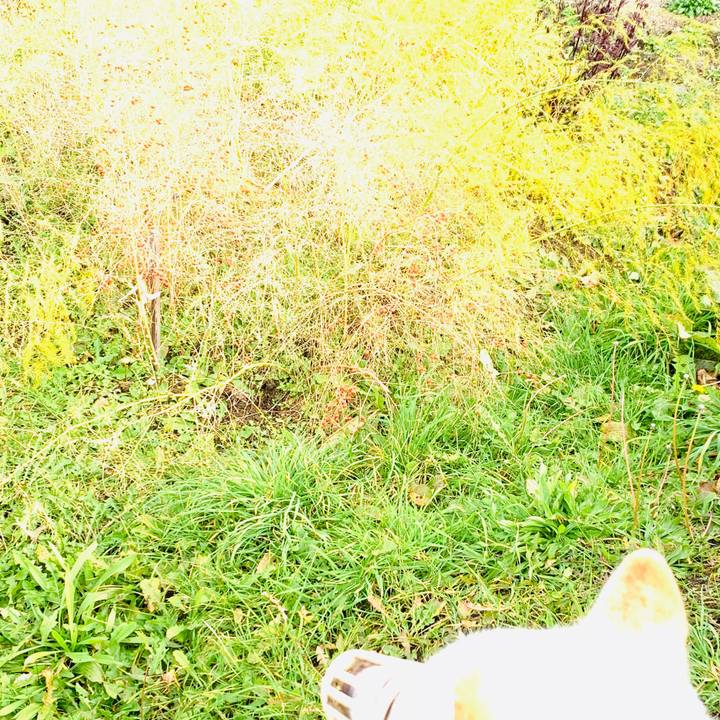 8a348963 7ed0 4036 81d5 c1efa2f8a6a4 1573023071297