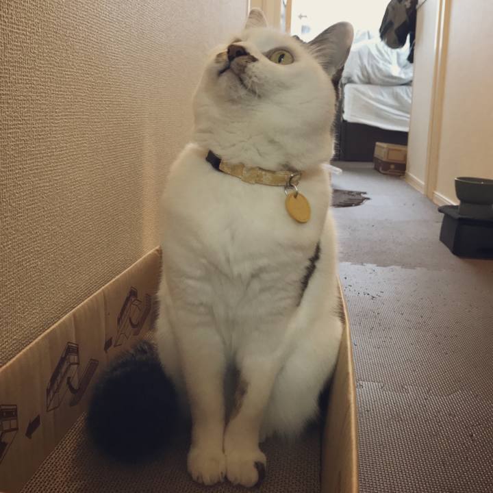 8a349e7d e3e5 4c92 8b69 f5922c60d597 1548822255759