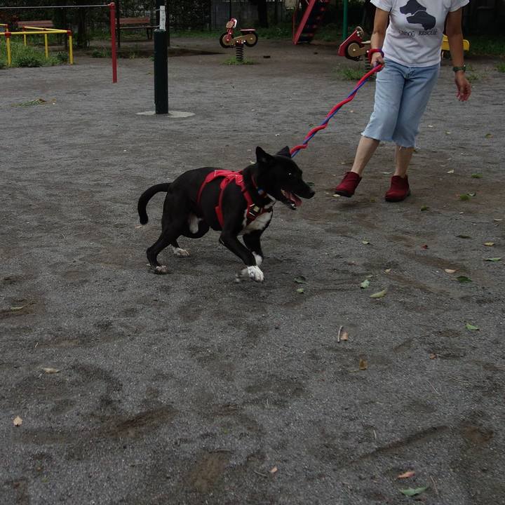 8a34e5d5 3b47 493c 895f 99433edd79f4 1599003872560