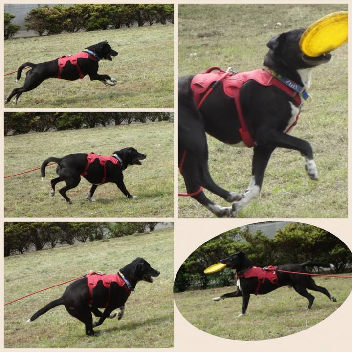 8a34e9d7 106f 482a 99e5 71bf64f81570 1682214194201