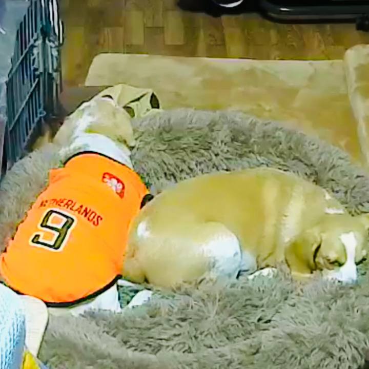 8a34efd1 607f 471a 9904 7eaf34bdff17 1617869636769