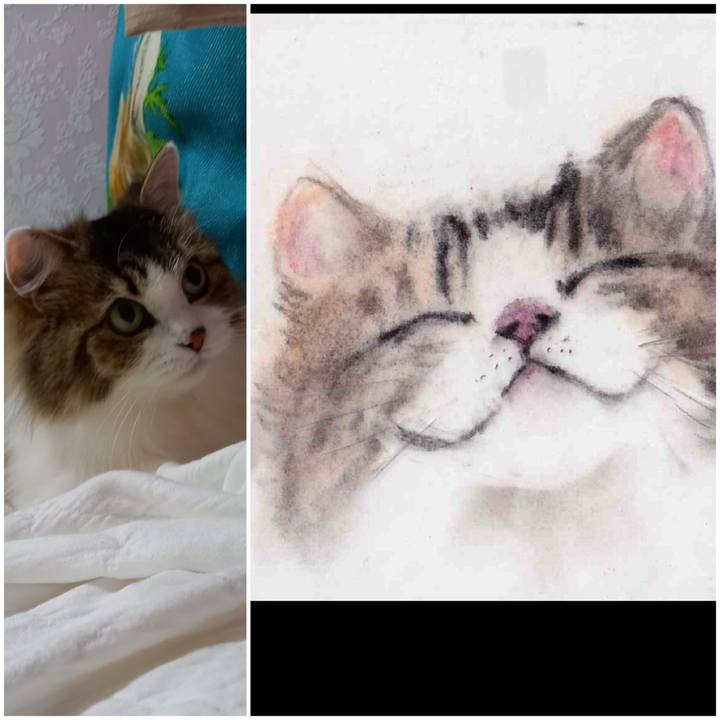 8a351828 305b 4724 aa38 5ded17c0be32 1660429232704