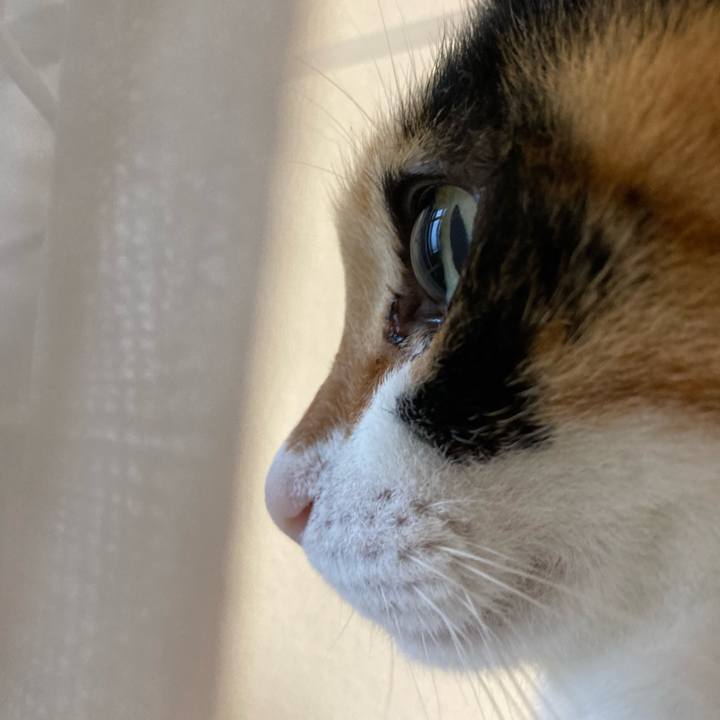 8a3566be 04d9 467f ae00 b3bc57cc8f89 1759152115633