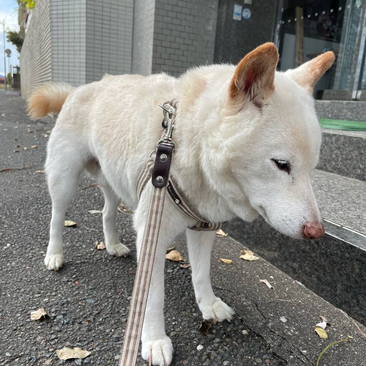 8a35a09a dee0 4b8e 93cf daf6ec7dd904 1636700846119