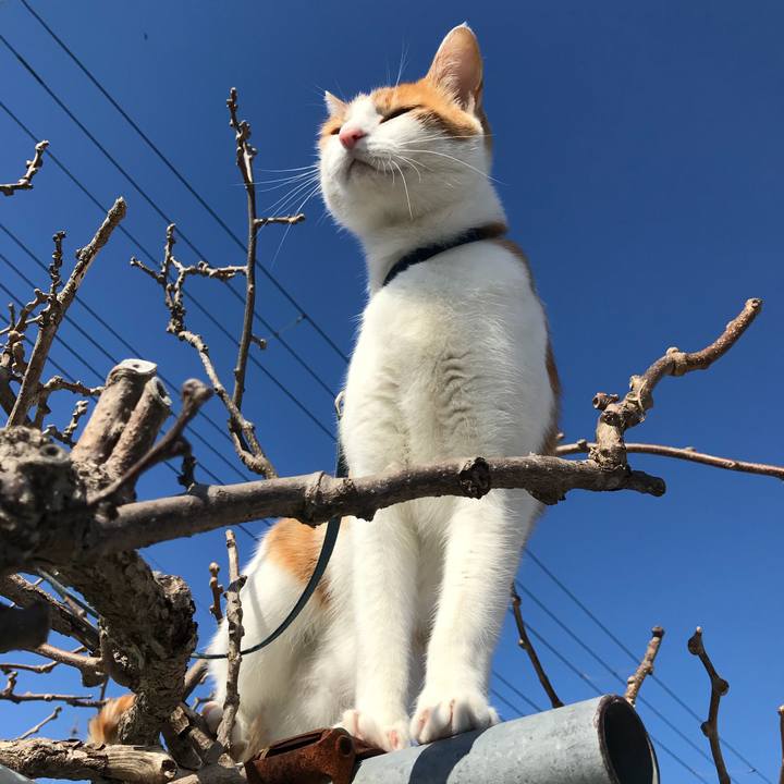 8a35ed77 00ad 46f9 a243 bb8969be3509 1517371432830