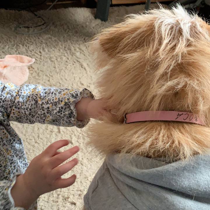 8a35fa35 12b1 4b2c 8073 47c2b1ac3d88 1608536940361