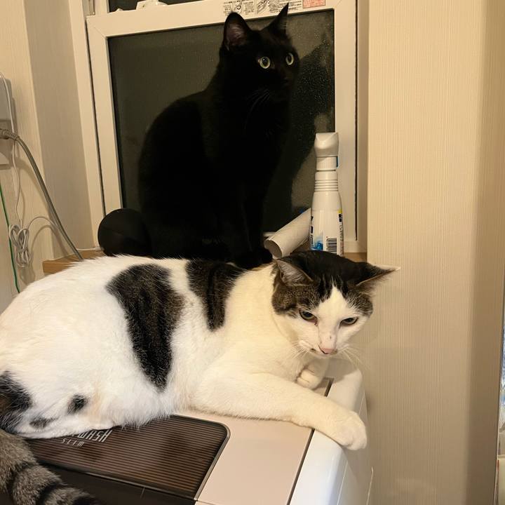 8a36125d 8375 4e40 8119 e1723263874c 1693662341518