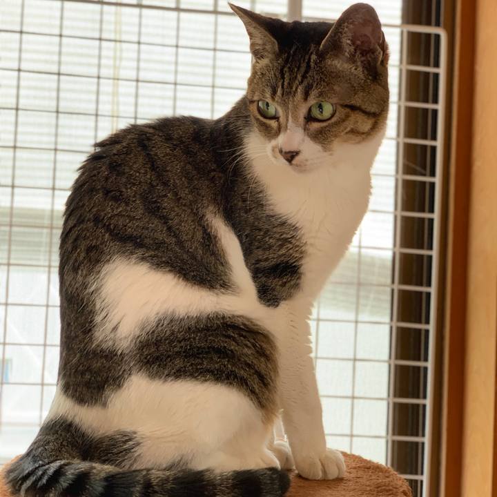 8a362dd9 9e57 4ed9 9493 13fd0617e252 1590282219260