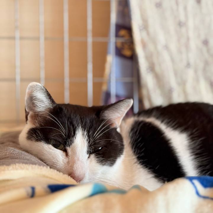 8a3673e6 54f2 478f a2f4 301305fe1d15 1733365030530