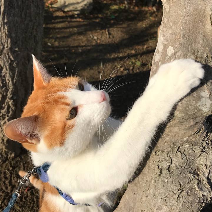 8a367821 4ec4 4099 9e63 01a410b2b44c 1516255218960