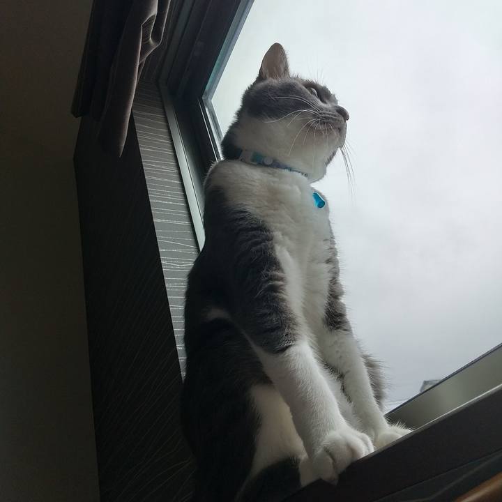 8a3683ae 22cc 4922 acbc b7eda3619512 1630797180819