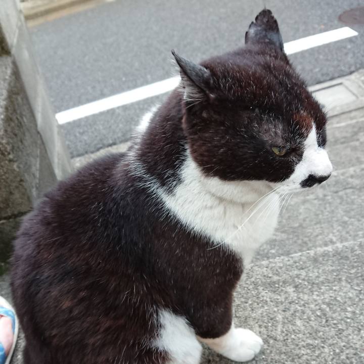 8a369235 8992 406e bdb1 e556469d3341 1654333434459