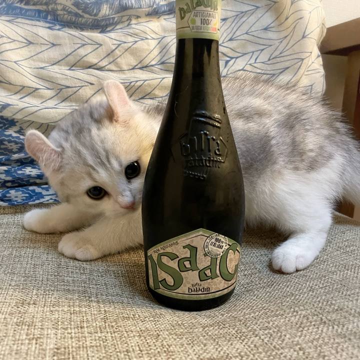 8a36c1e5 e2dc 4ce9 a39d acd5b0570de5 1776948937211