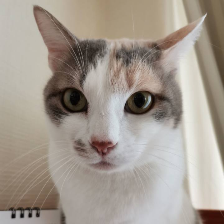 8a36cfbd bcad 4252 bba4 683dd8dde6c0 1608472743781