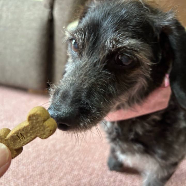 8a370b5c 977f 417e a9c7 51ec7405c7b4 1755904528053