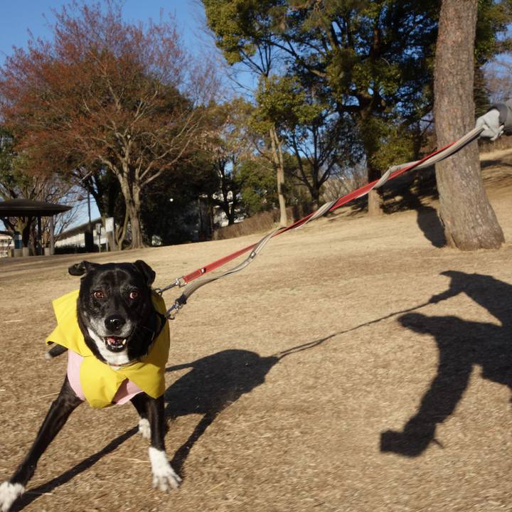 8a372860 0542 4c7b a851 8d1507574529 1740529141417