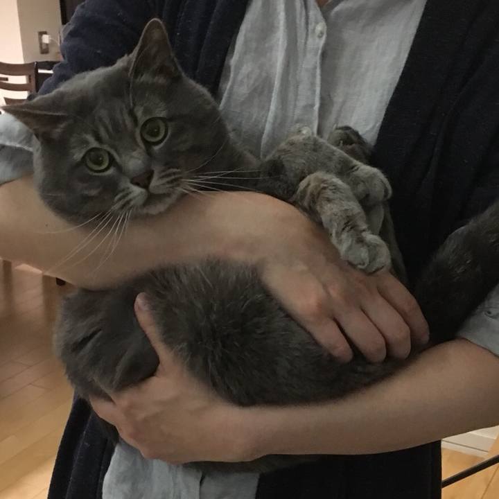 8a37896b 9287 4b85 8117 b38e83eaa979 1529488027582