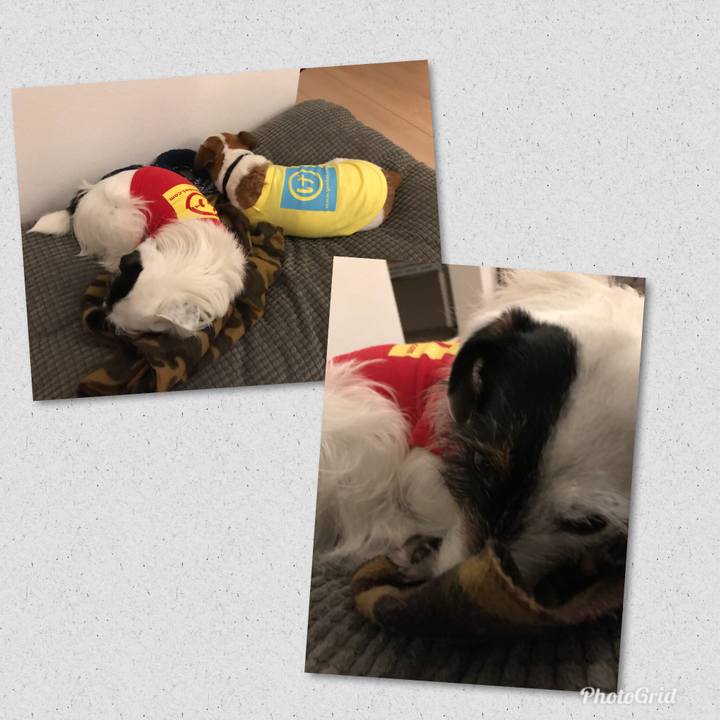 8a37ae58 b23f 4e5f 95eb 768b997379d0 1522072309262