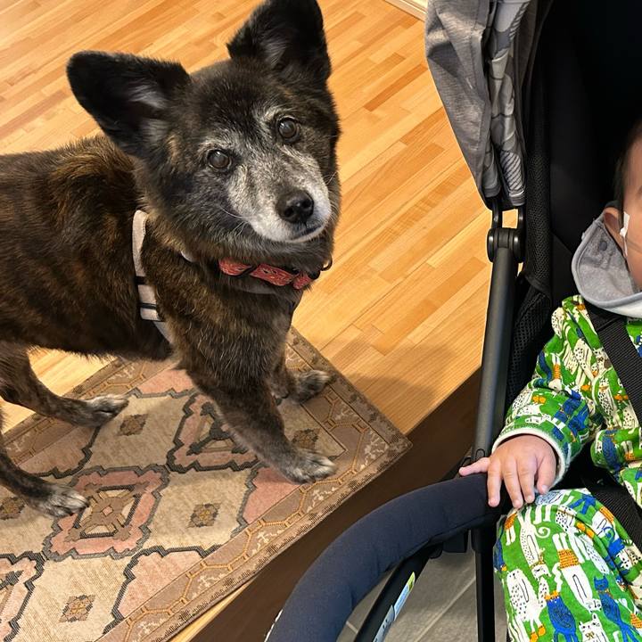 8a37ae74 9952 4bf1 a1e1 baeb46b79cbc 1717019800042