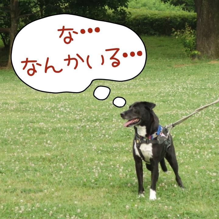 8a37e726 207d 476c a592 cb56a93fc6a8 1655770162863