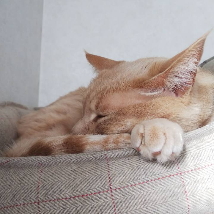 8a380e0b 1331 4f36 a093 a8779dcbb9d1 1643248424651