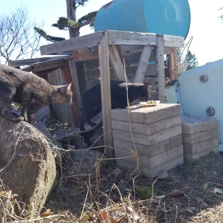 8a38221f 42d1 4409 ab38 8d264f3977f1 1588235321872