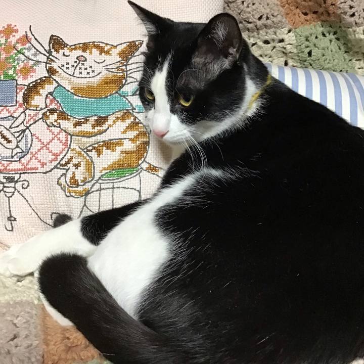 8a3857f4 1bdf 43f5 88d5 c3b8ff344e22 1647856847171