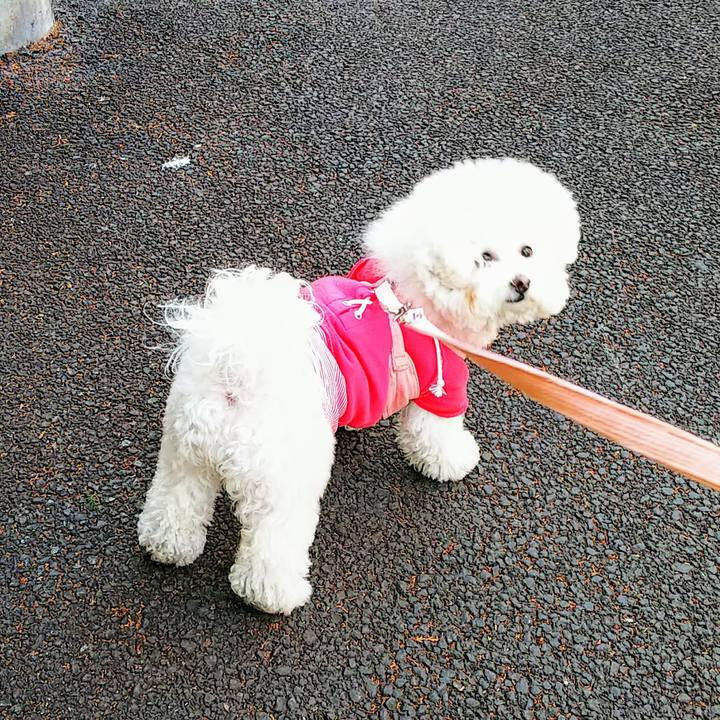 8a38585f 6711 4f85 8c2b 8959f9798759 1555411792365