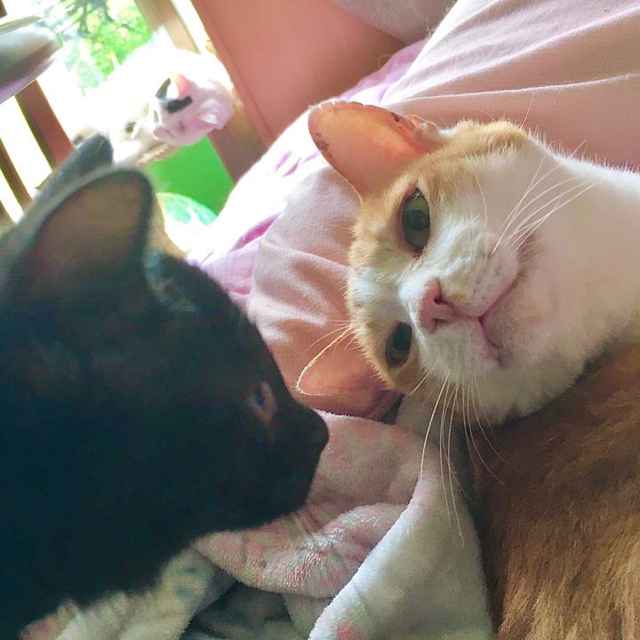 8a38750e 4997 474d b3aa f573137abcf0 1625557201034