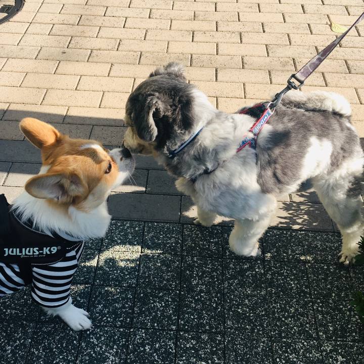 8a38890b 9d7f 4350 ba2b 41df07d4dd5d 1573456156099