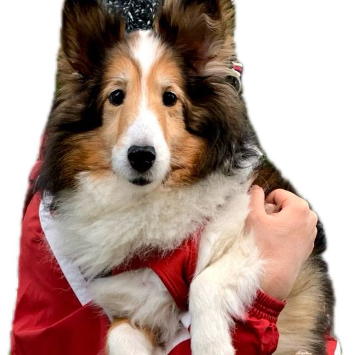 8a38b1c9 030b 4d29 952f f94d88e8c2b5 1762245041809