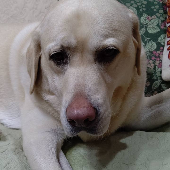 8a38f7e2 b084 4474 9804 a3ae23532968 1642849661112