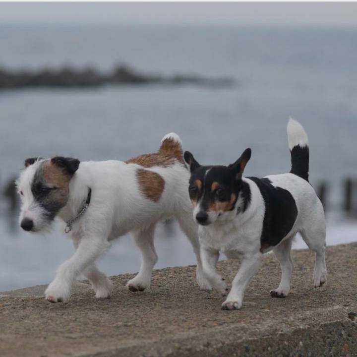 8a38fa1f 11db 4fe6 81de 39fa86dabf93 1766535647185