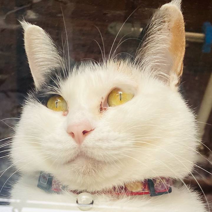 8a39035c d31c 45f9 9203 50a11c951260 1679825266841