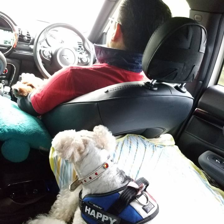 8a390cfa 01b3 4e38 b341 a34064b9dd3e 1561762390883