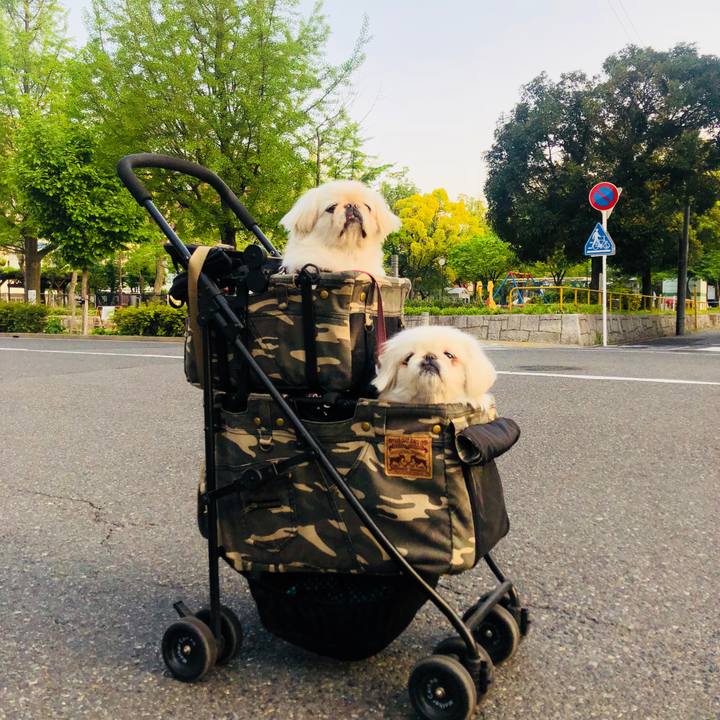 8a399f44 54d0 4224 a750 503270561af7 1588282502442