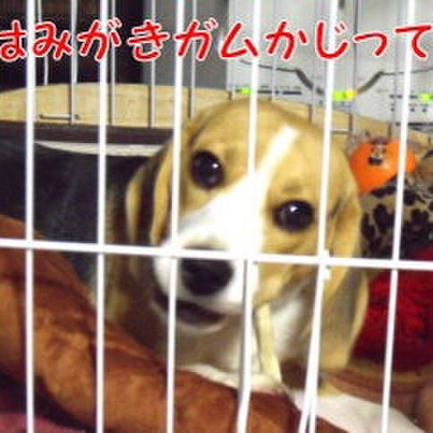 8a39bbd5 5f42 4bce 9880 2b465b5b766c 1684104086302