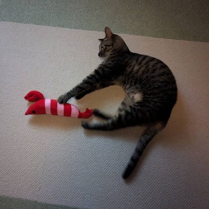 8a39d7fe 674f 4998 ad33 9dbdc1ea435f 1727268605057