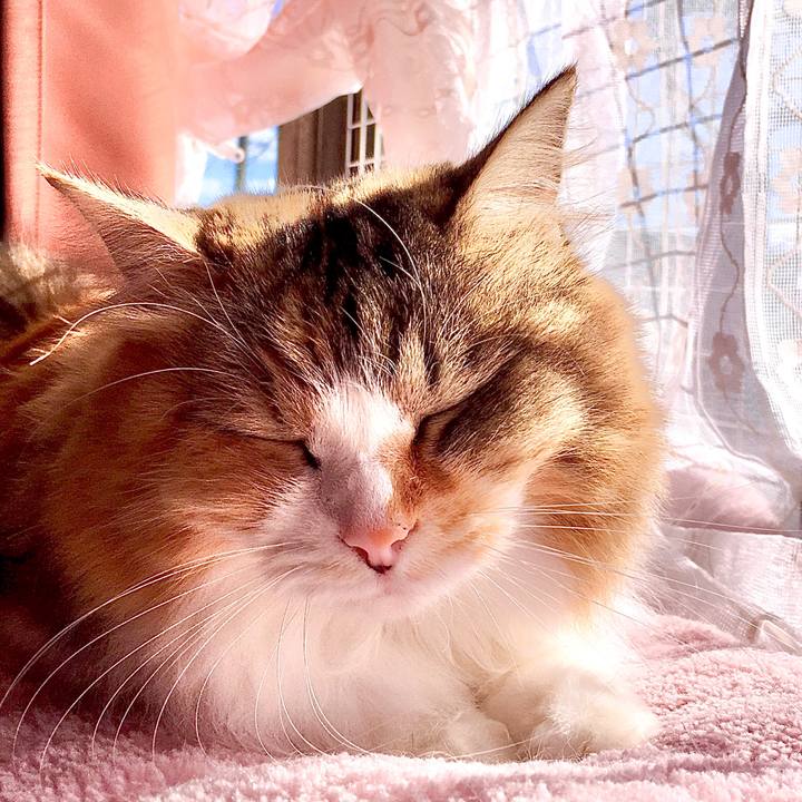 8a39dada f77b 479d 9ebb cef2ed3477c4 1573030503449