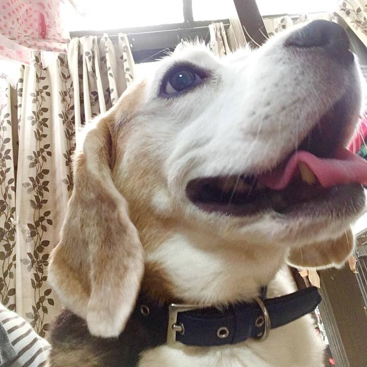 8a39dd92 bea0 4364 b995 ed82e41e0ea7 1570421913072