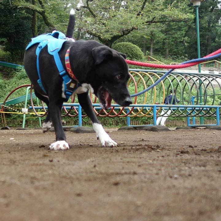 8a3a06b0 2f3f 4295 bafb 364911852116 1630887778631