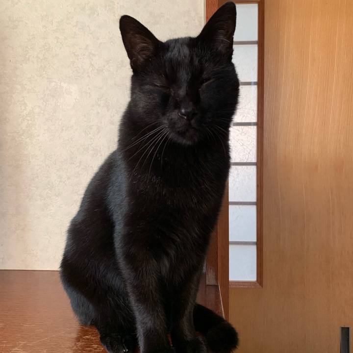 8a3a10a5 fa0d 4194 a23d 2f025286f5e3 1543801960550