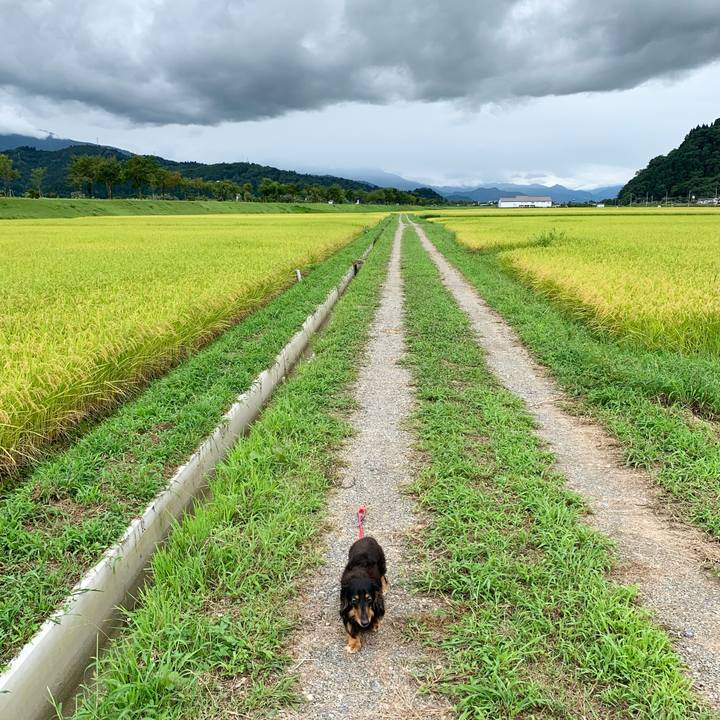 8a3a64da abdb 4a3d 905d 2866224d1b54 1630651104960