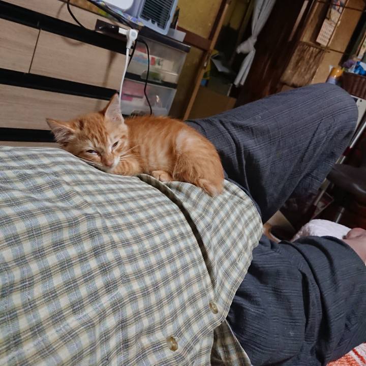 8a3a7600 9302 41f5 9fe7 e95bef572ca8 1628594763053