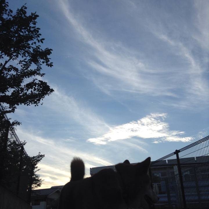 8a3a8a26 8b99 4dfd 8487 13624601e6e5 1532945304935