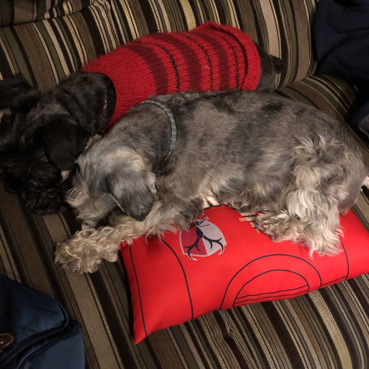 8a3aa20c 7632 4b06 a6d2 cd29a444ec49 1550309331332