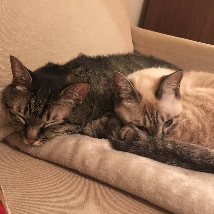 8a3aafac 52f6 4d2f 8919 be83f82ec87b 1571396351588