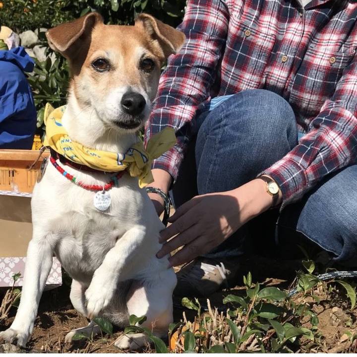 8a3ab6da ae44 4a3e af8f 4cce8a5926bb 1771071816164